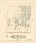Block Map of The Town and Borough of Palmerston image item