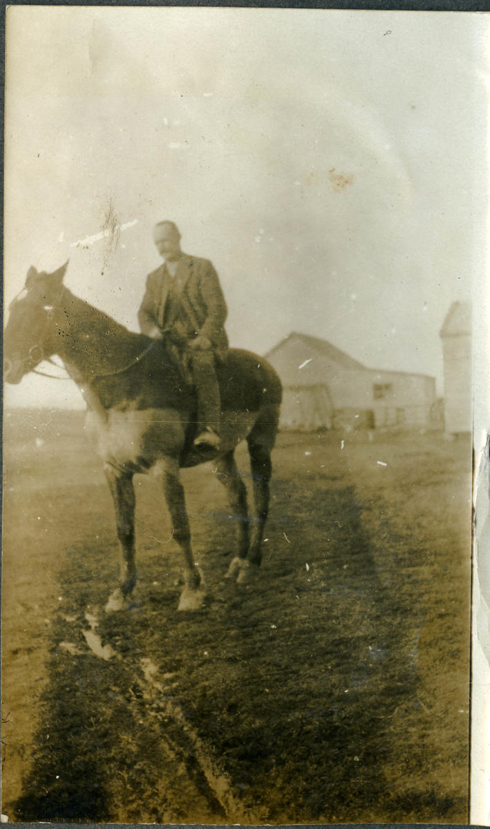 Man on horseback Culture Waitaki