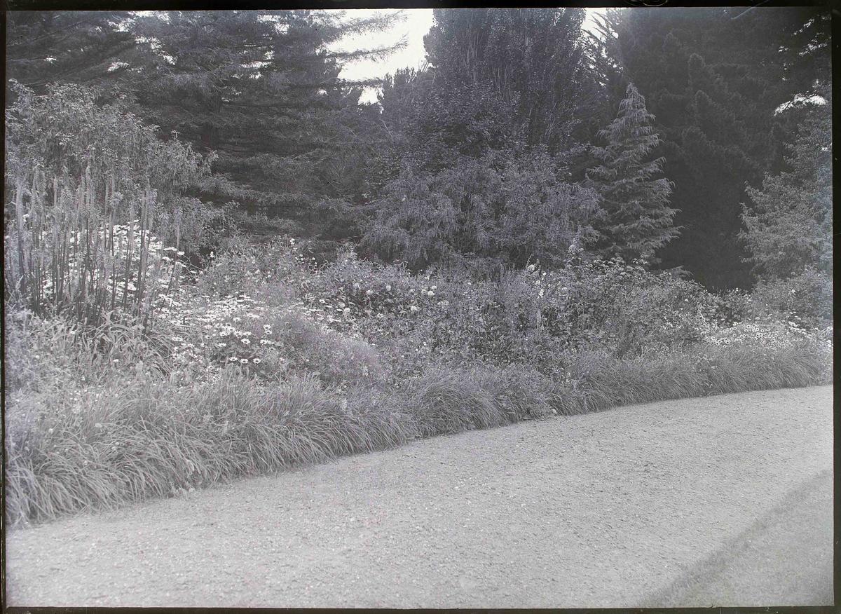 Elderslie Estate garden Culture Waitaki